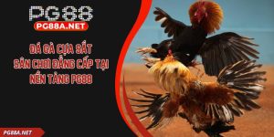 Đá Gà Cựa Sắt – Sân Chơi Đẳng Cấp Tại Nền Tảng PG88