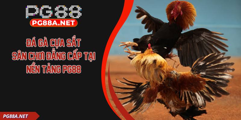 Đá Gà Cựa Sắt – Sân Chơi Đẳng Cấp Tại Nền Tảng PG88