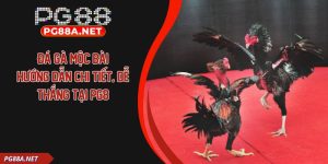 Đá Gà Mộc Bài
